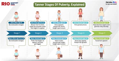 young big boobs|Stages of Puberty Explained in Pictures